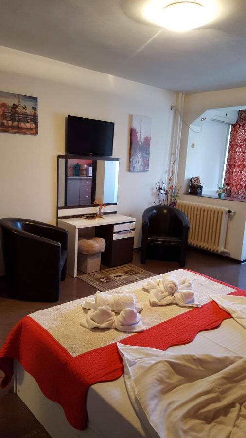 Apartment Garsoniera Ioana