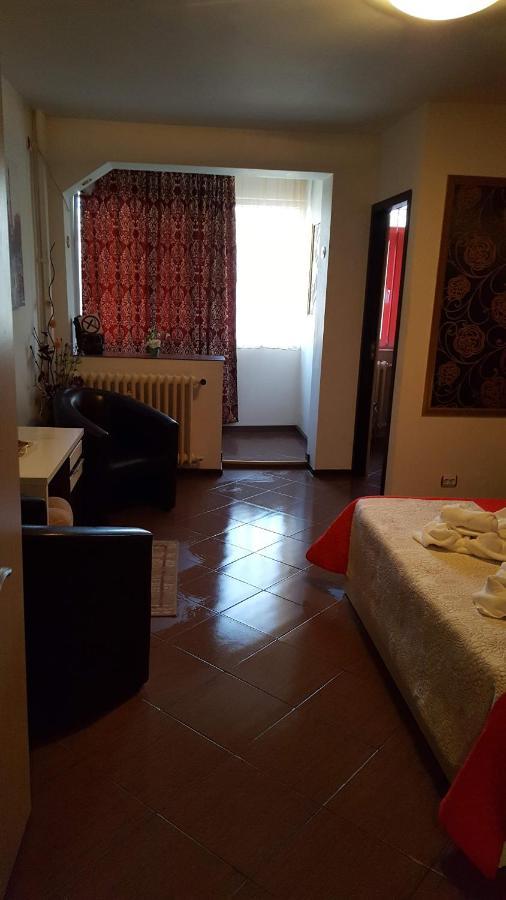 Garsoniera Ioana Apartment *