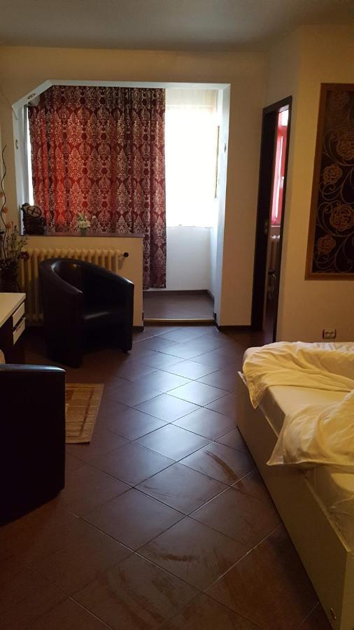 Garsoniera Ioana Apartment Bucharest